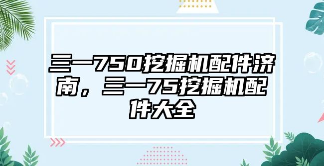 三一750挖掘機(jī)配件濟(jì)南，三一75挖掘機(jī)配件大全