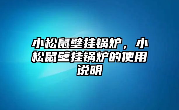 小松鼠壁掛鍋爐，小松鼠壁掛鍋爐的使用說(shuō)明