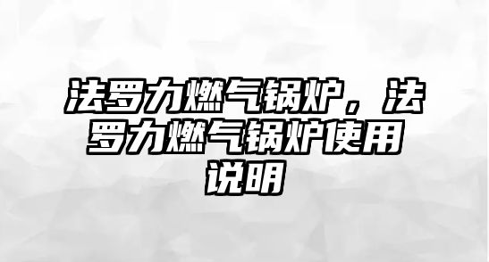 法羅力燃?xì)忮仩t，法羅力燃?xì)忮仩t使用說明