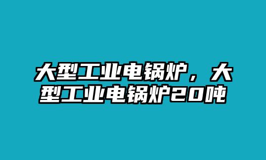 大型工業(yè)電鍋爐，大型工業(yè)電鍋爐20噸