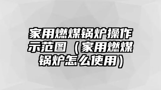 家用燃煤鍋爐操作示范圖（家用燃煤鍋爐怎么使用）