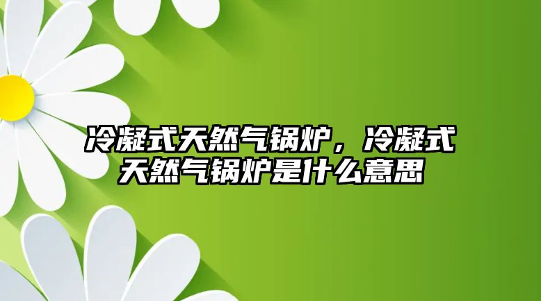 冷凝式天然氣鍋爐，冷凝式天然氣鍋爐是什么意思