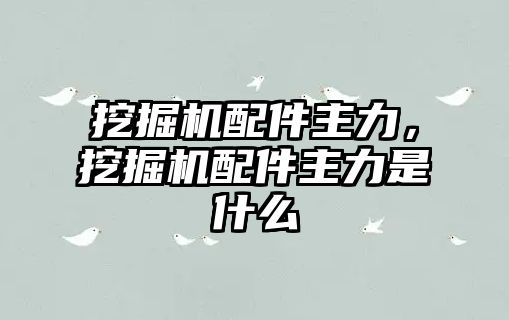 挖掘機配件主力，挖掘機配件主力是什么