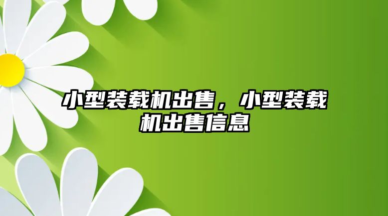 小型裝載機出售，小型裝載機出售信息