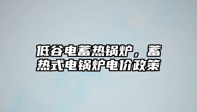 低谷電蓄熱鍋爐，蓄熱式電鍋爐電價政策