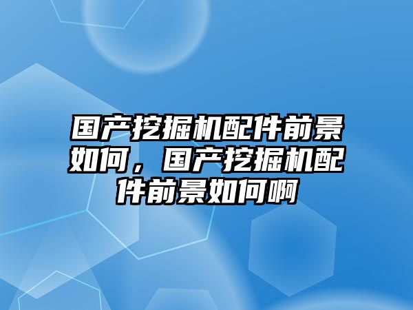 國產(chǎn)挖掘機配件前景如何，國產(chǎn)挖掘機配件前景如何啊