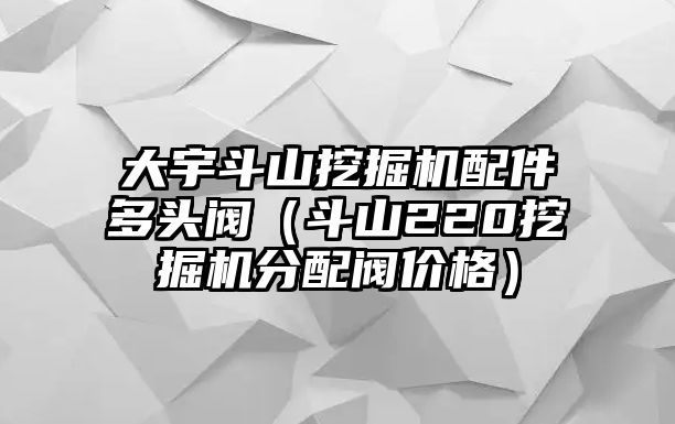 大宇斗山挖掘機(jī)配件多頭閥（斗山220挖掘機(jī)分配閥價(jià)格）