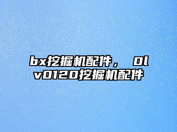 bx挖掘機配件，ⅴ0lv0120挖掘機配件