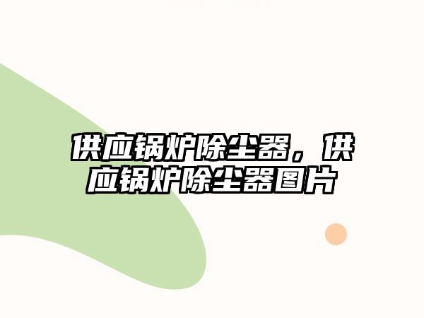 供應(yīng)鍋爐除塵器，供應(yīng)鍋爐除塵器圖片