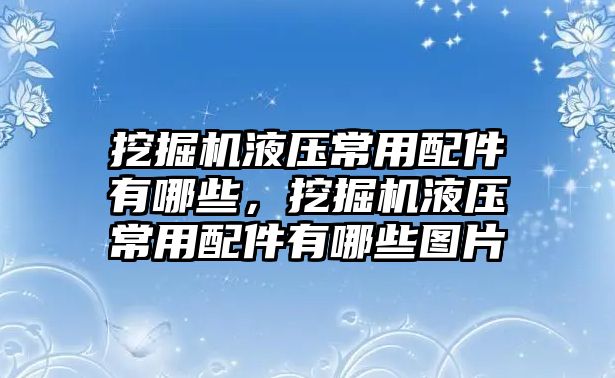 挖掘機(jī)液壓常用配件有哪些，挖掘機(jī)液壓常用配件有哪些圖片