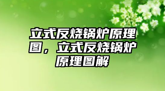 立式反燒鍋爐原理圖，立式反燒鍋爐原理圖解