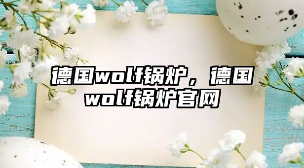 德國(guó)wolf鍋爐，德國(guó)wolf鍋爐官網(wǎng)