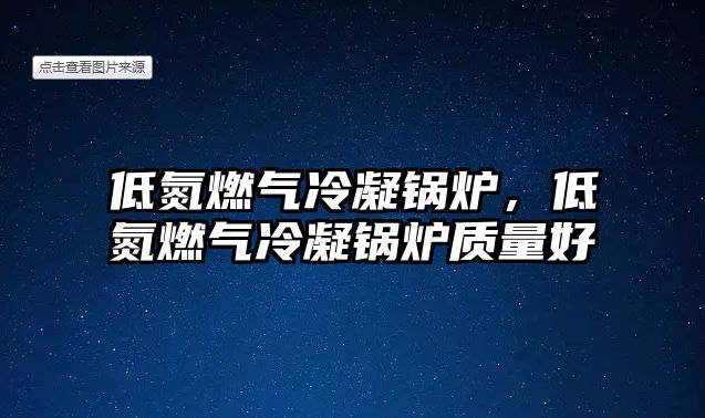 低氮燃?xì)饫淠仩t，低氮燃?xì)饫淠仩t質(zhì)量好