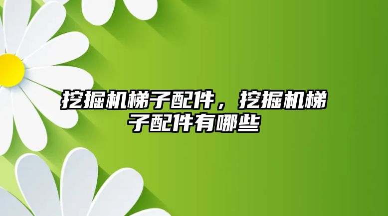 挖掘機梯子配件，挖掘機梯子配件有哪些