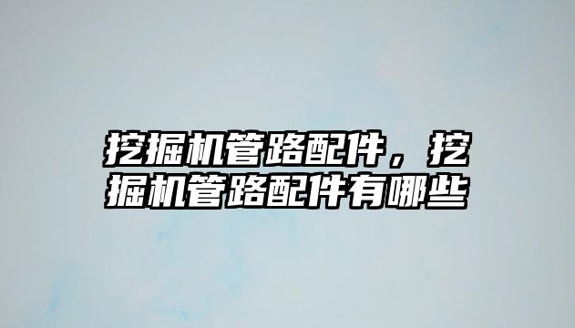 挖掘機管路配件，挖掘機管路配件有哪些