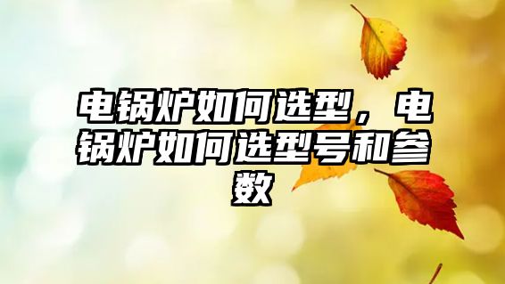 電鍋爐如何選型，電鍋爐如何選型號(hào)和參數(shù)