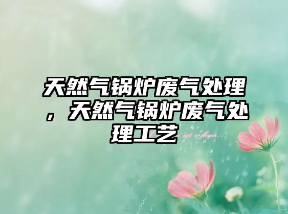 天然氣鍋爐廢氣處理，天然氣鍋爐廢氣處理工藝