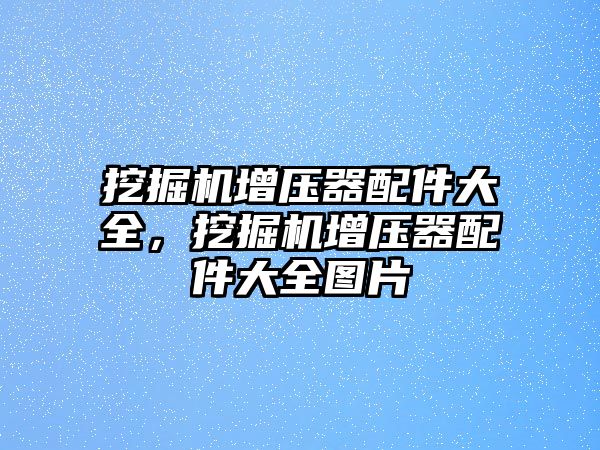 挖掘機增壓器配件大全，挖掘機增壓器配件大全圖片