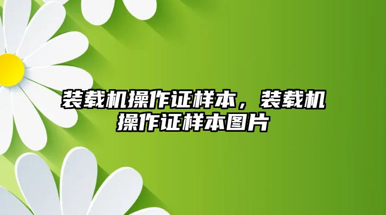 裝載機操作證樣本，裝載機操作證樣本圖片