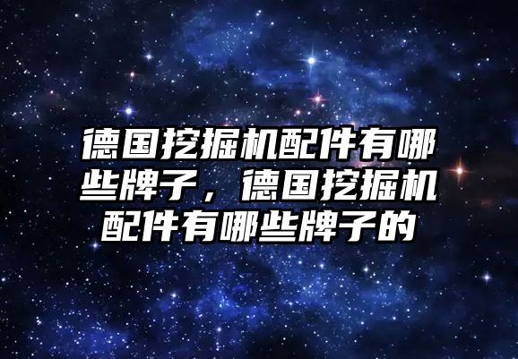 德國(guó)挖掘機(jī)配件有哪些牌子，德國(guó)挖掘機(jī)配件有哪些牌子的