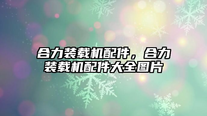 合力裝載機配件，合力裝載機配件大全圖片