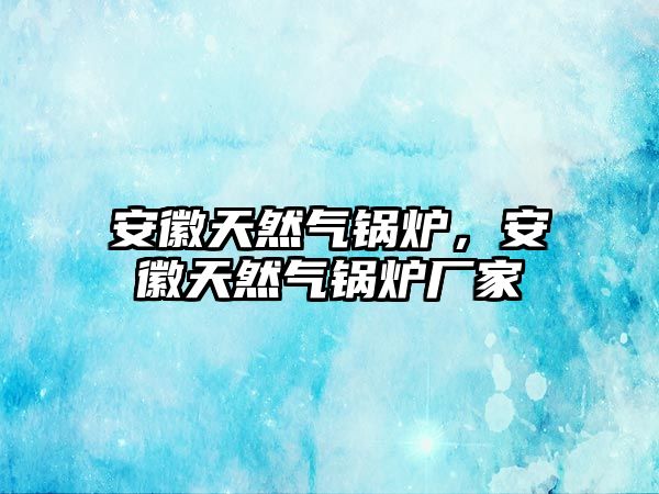 安徽天然氣鍋爐，安徽天然氣鍋爐廠家