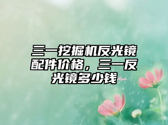 三一挖掘機反光鏡配件價格，三一反光鏡多少錢