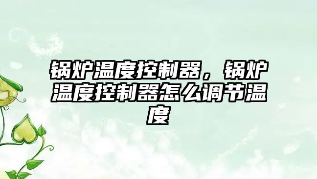 鍋爐溫度控制器，鍋爐溫度控制器怎么調節(jié)溫度