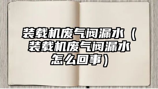 裝載機廢氣閥漏水（裝載機廢氣閥漏水怎么回事）