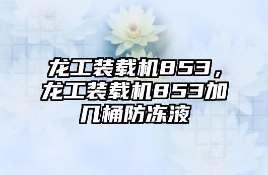 龍工裝載機(jī)853，龍工裝載機(jī)853加幾桶防凍液