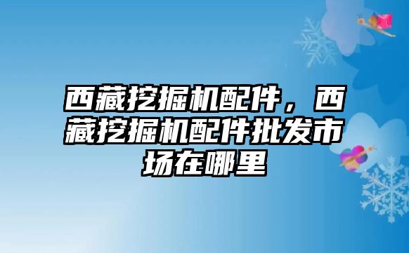 西藏挖掘機配件，西藏挖掘機配件批發(fā)市場在哪里