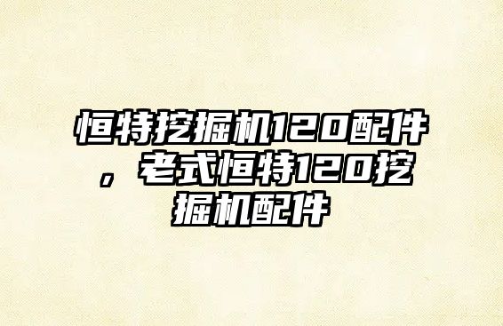 恒特挖掘機(jī)120配件，老式恒特120挖掘機(jī)配件