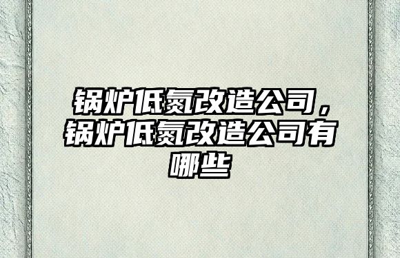 鍋爐低氮改造公司，鍋爐低氮改造公司有哪些