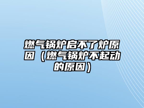 燃?xì)忮仩t啟不了爐原因（燃?xì)忮仩t不起動(dòng)的原因）