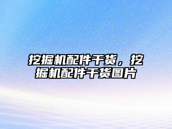 挖掘機配件干貨，挖掘機配件干貨圖片