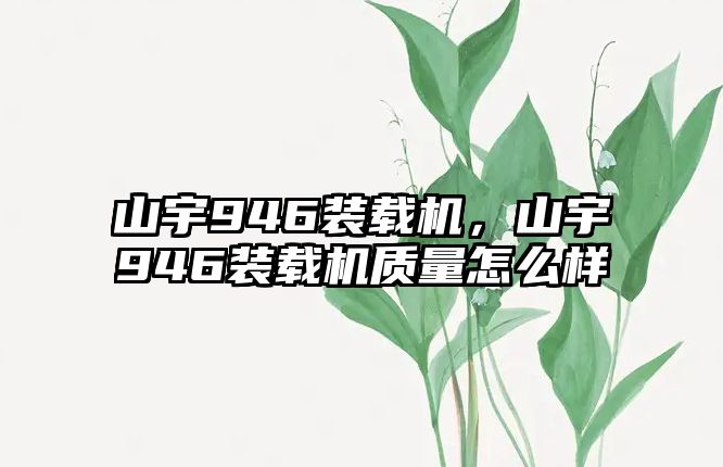 山宇946裝載機(jī)，山宇946裝載機(jī)質(zhì)量怎么樣