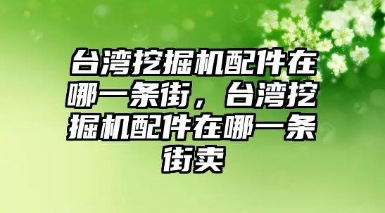 臺(tái)灣挖掘機(jī)配件在哪一條街，臺(tái)灣挖掘機(jī)配件在哪一條街賣