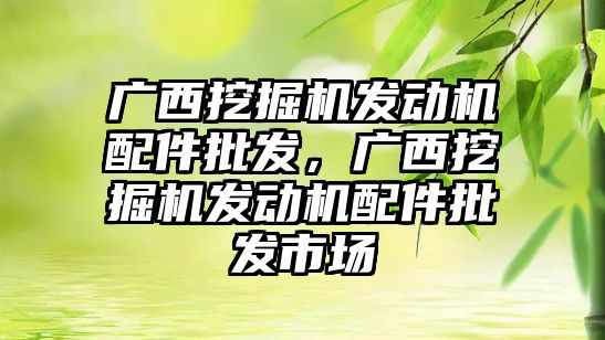 廣西挖掘機發(fā)動機配件批發(fā)，廣西挖掘機發(fā)動機配件批發(fā)市場