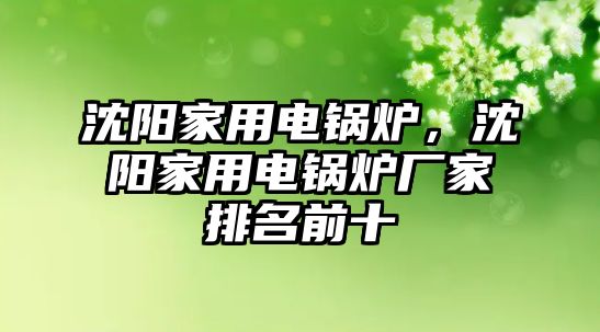 沈陽家用電鍋爐，沈陽家用電鍋爐廠家排名前十