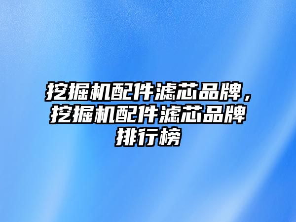 挖掘機配件濾芯品牌，挖掘機配件濾芯品牌排行榜