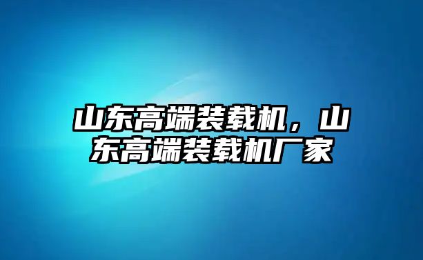 山東高端裝載機，山東高端裝載機廠家