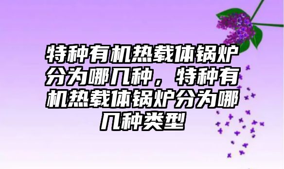 特種有機(jī)熱載體鍋爐分為哪幾種，特種有機(jī)熱載體鍋爐分為哪幾種類型