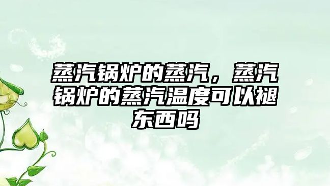 蒸汽鍋爐的蒸汽，蒸汽鍋爐的蒸汽溫度可以褪東西嗎