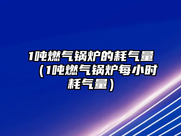 1噸燃?xì)忮仩t的耗氣量（1噸燃?xì)忮仩t每小時(shí)耗氣量）