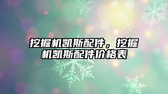 挖掘機(jī)凱斯配件，挖掘機(jī)凱斯配件價(jià)格表