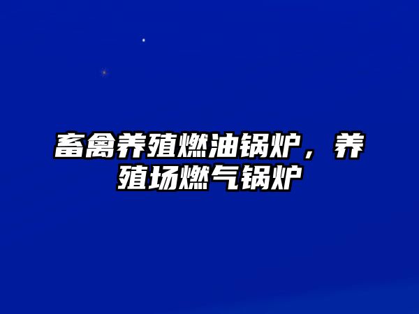 畜禽養(yǎng)殖燃油鍋爐，養(yǎng)殖場(chǎng)燃?xì)忮仩t