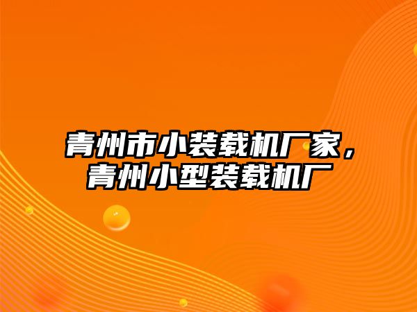 青州市小裝載機(jī)廠家，青州小型裝載機(jī)廠