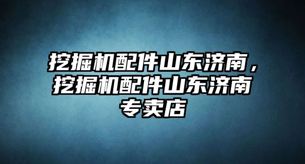 挖掘機(jī)配件山東濟(jì)南，挖掘機(jī)配件山東濟(jì)南專賣店