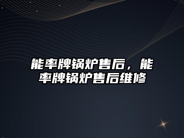 能率牌鍋爐售后，能率牌鍋爐售后維修