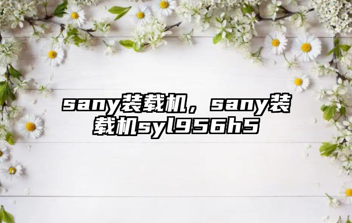 sany裝載機，sany裝載機syl956h5